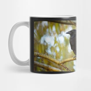 Black raven Mug